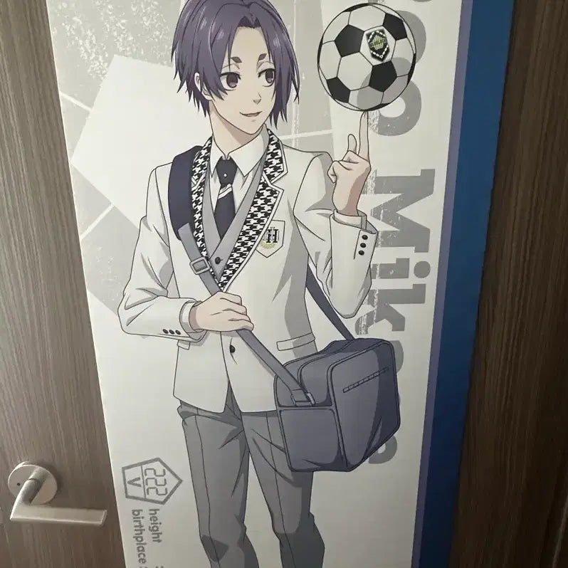 [BUNJANG] Blue Lock Mikage Reo Full Body School Uniform Tapestry (Opened Display) / 개봉 전시품)블루록 미카게 레오 전신 교복 태피스트리