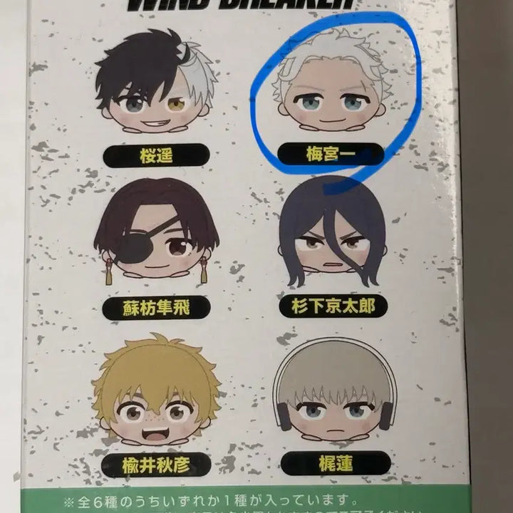 [BUNJANG] Winbre Mochi Kororing Umemiya Sealed / 윈브레 모찌코로링  우메미야 미개봉 새상품