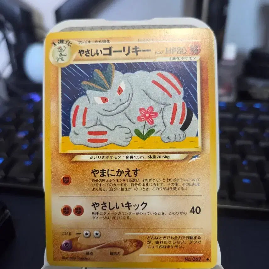 [BUNJANG] Pokemon Card 1996 1st Edition Expansion Pack Muscle Man Tanaka Miki Illustration / 포켓몬카드) 1996 초판 확장팩 근육목