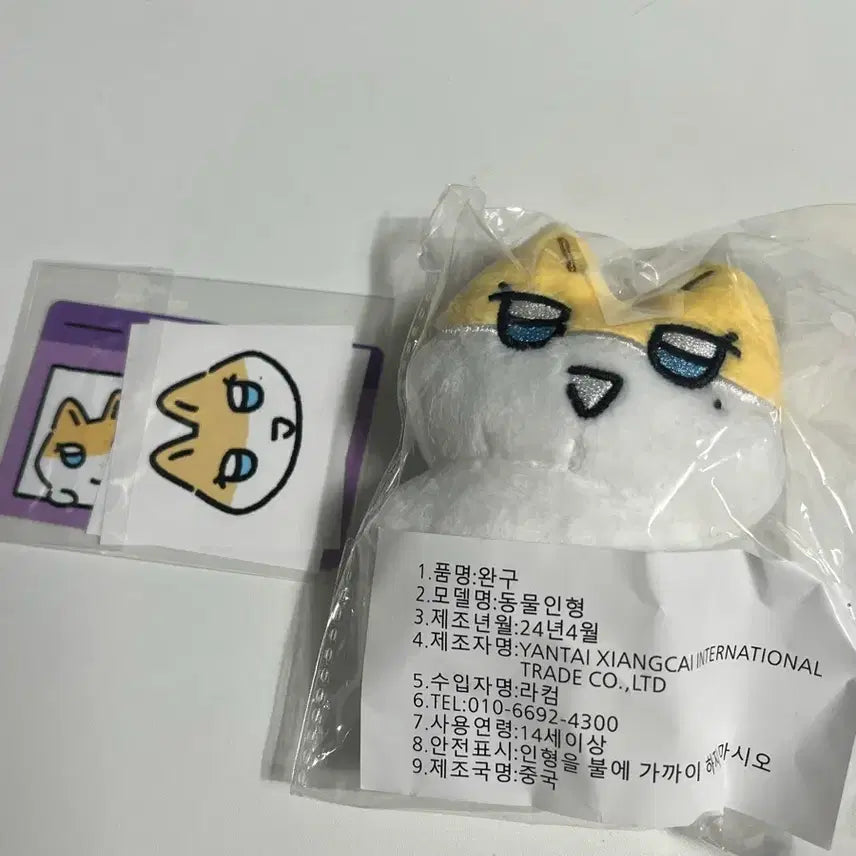 [BUNJANG] Jiang Rave Noah Photocard / 짱레이브 노아
