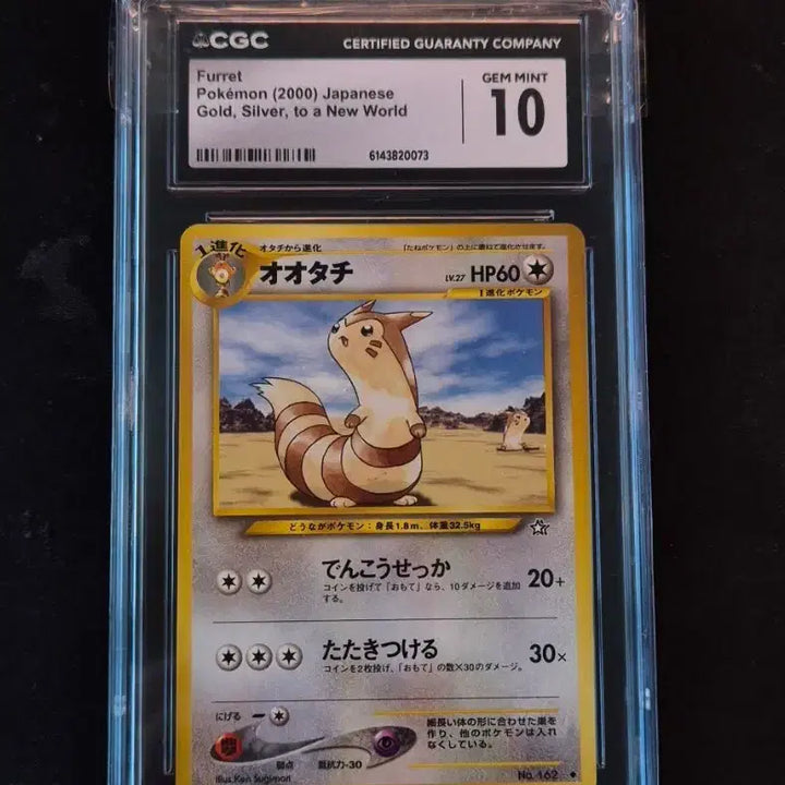 [BUNJANG] Pokemon Card Tailor (Dakori) Japanese CGC 10 Old Back / 포켓몬카드 다꼬리 일판 CGC10 올드백