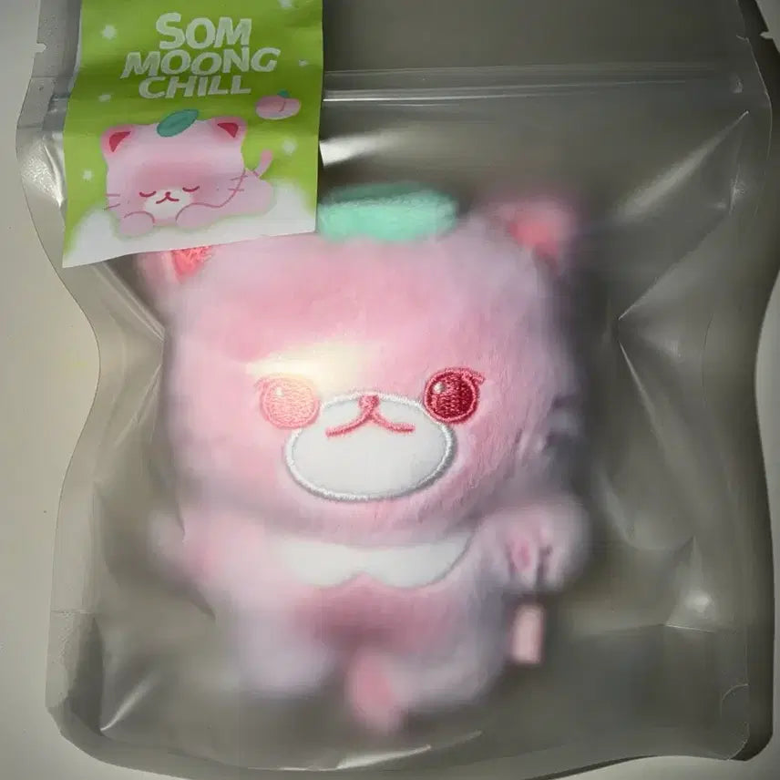 [BUNJANG] Jeong Hyuk Yeon Plushie Keychain / 솜뭉칠 정복현 재현 인형 키링