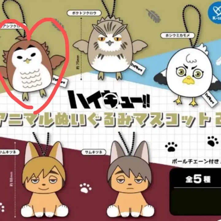 [BUNJANG] Haikyu!! Animal Plush Mascot - Vol. 2 - Akaashi / 하이큐 애니멀 봉제인형 마스코트 2탄 *아카아시