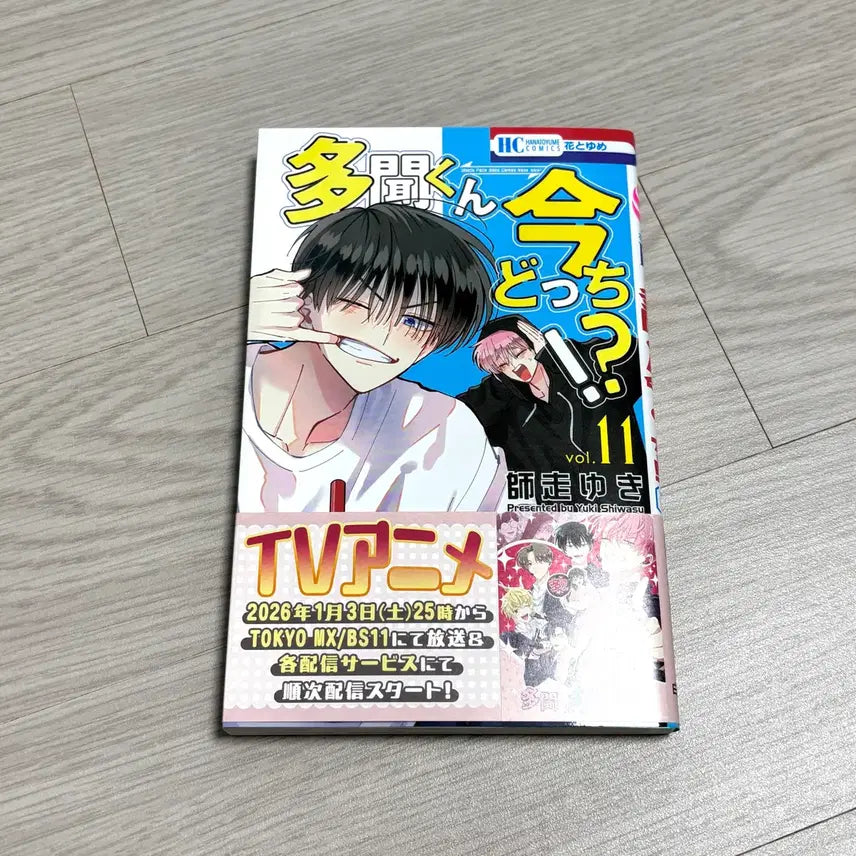 [BUNJANG] Tamontown Owori Nui Paru, Acrylic Stand, and Photocard Bundle Set / 타몬군 지금 어느 쪽 오우리 굿즈 일괄 양도 (오우리 누이파루, 아크릴, 포토카드)