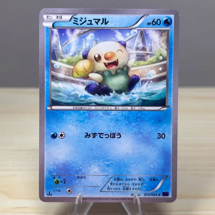 [BUNJANG] Pokemon Card Su-daengyi 015/054 XY11 1st Edition / [일판 포켓몬카드] 수댕이 015/054 XY11 1st edition
