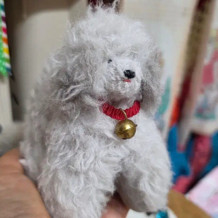 [BUNJANG] Japanese Artist Teddy Bear Poodle Plush / shima_shima님 테디베어