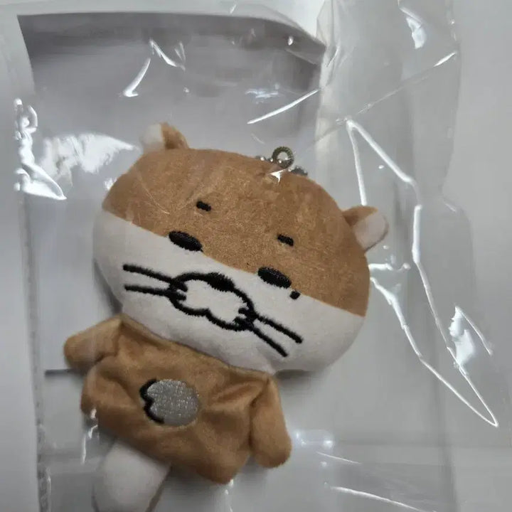 [BUNJANG] BOYNEXTDOOR Darling Japan MD Mini Photocard Holder / 보넥도 달링 일본엠디 미니쁘넥도