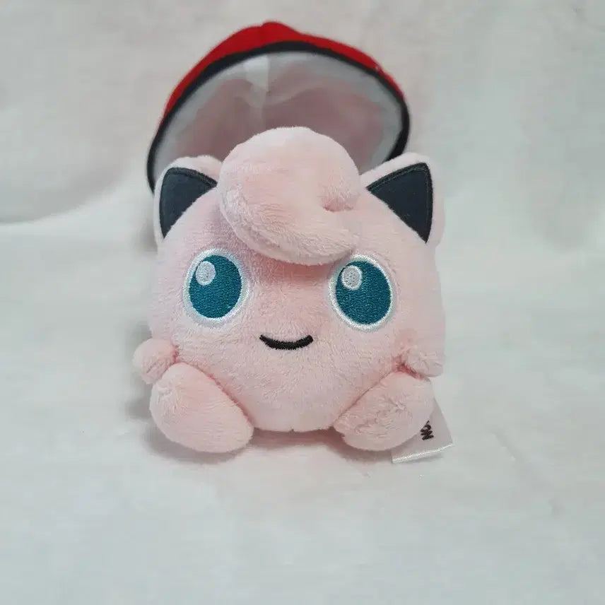 [BUNJANG] Pokemon Monster Ball Pouch &amp; 8cm Mascot Keyring / 포켓몬스터 몬스터볼 파우치&amp;8cm 마스코트 키링 원가양도