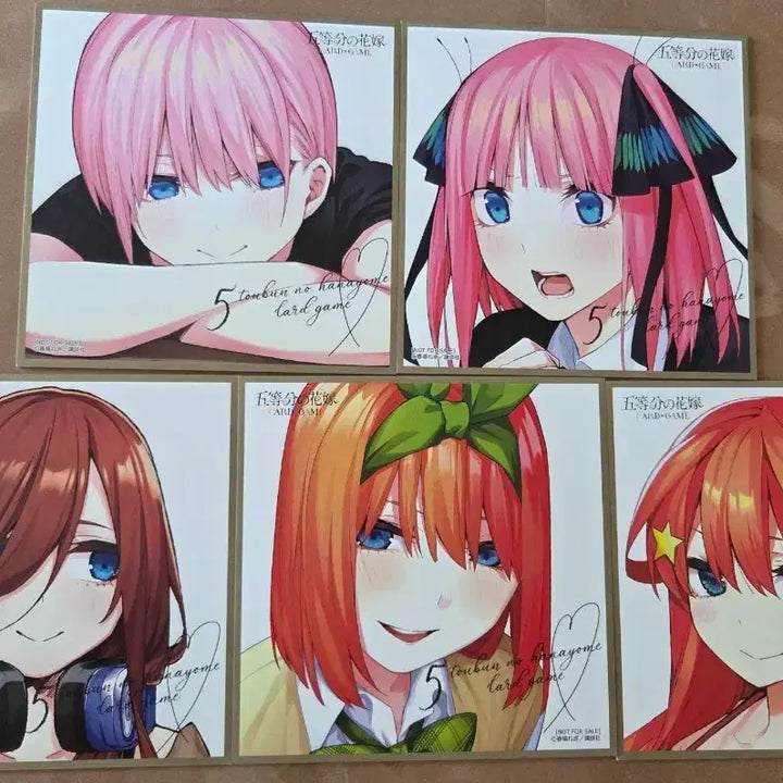 [BUNJANG] The Quintessential Quintuplets Shikishi Bundle Set / 일괄) 오등분의 신부 색지      5등분의 신부