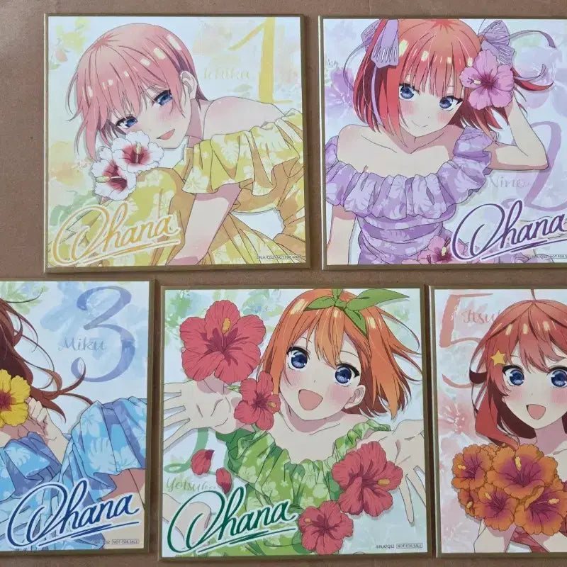 [BUNJANG] The Quintessential Quintuplets Shikishi Bundle Set / 일괄)오등분의 신부 색지   5등분의 신부