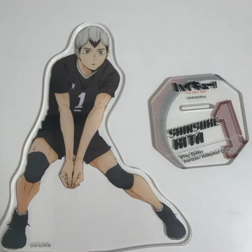 [BUNJANG] Haikyuu!! Kita Shinsuke Acrylic Standee / 하이큐 키타 아크릴