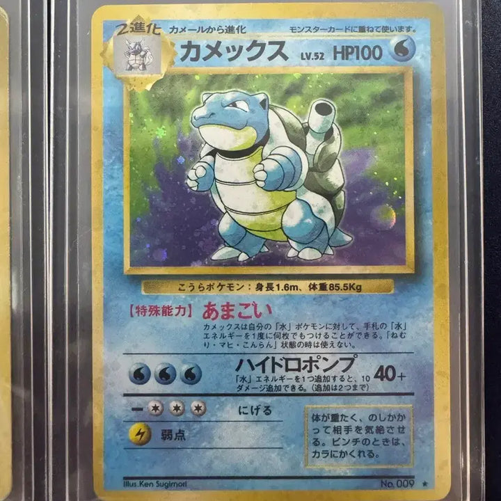 [BUNJANG] Pokemon Cards First Edition Bundle / 포켓몬카드 초판 이상해꽃, 거북왕, 피카츄 등 일괄
