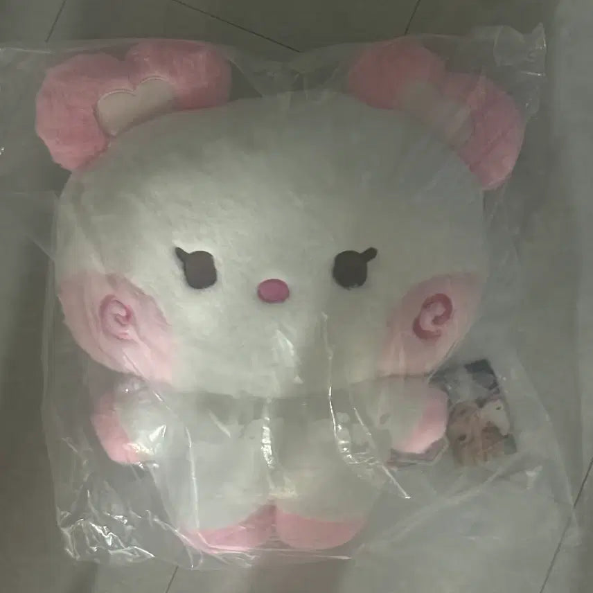 [BUNJANG] NCT WISH Sakuya Hug Cushion (Sealed) / (미개봉) 위시니니 팡팡니니 허그 쿠션 엔시티위시 사쿠야