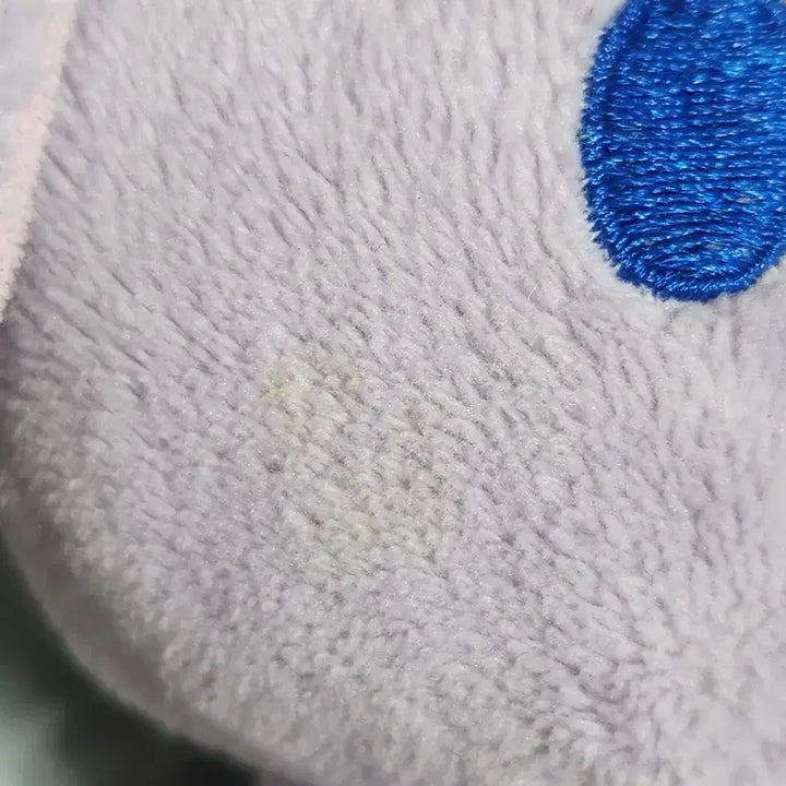 [BUNJANG] Sanrio Sugar Bunnies Blueberry Usa Plush / (무배 Event)산리오 슈가바니즈 블루베리우사 인형