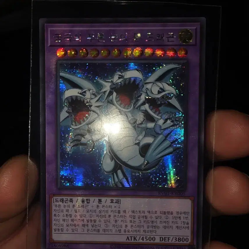 [BUNJANG] Yu-Gi-Oh! Ultimate Blue-Eyes Toon Dragon Secret Rare / 유희왕 궁극의 푸른 눈의 툰 드래곤 시크