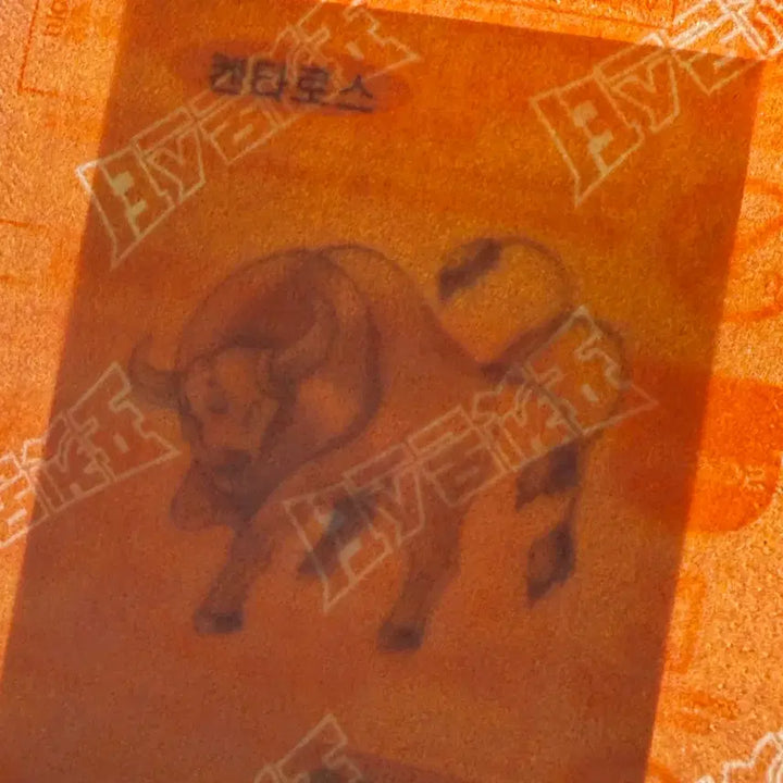 [BUNJANG] Pokemon Artworks Windy, Kentauros Bundle Set (Sealed) / (미개봉) 포켓몬 아트웍 윈디,켄타로스 2장 일괄