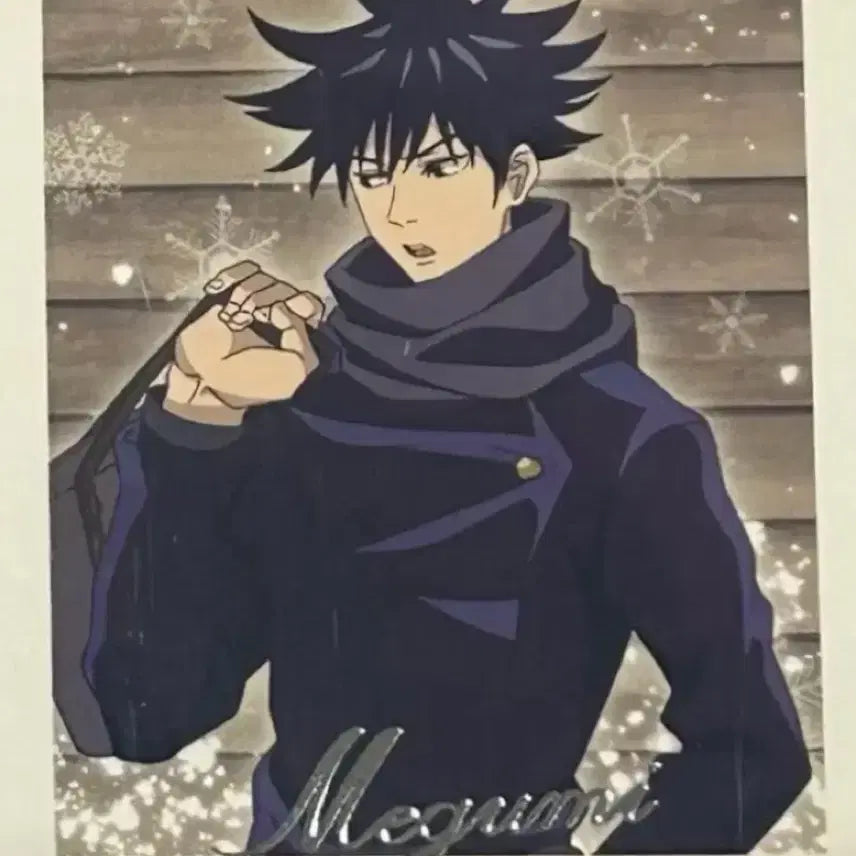 [BUNJANG] Jujutsu Kaisen Fushiguro Megumi Winter Pashacard Rare / 주술회전 후시구로 메구미 겨울 파샤 레어