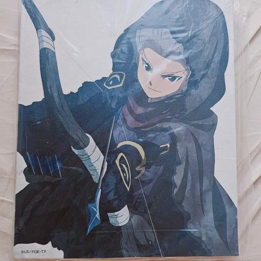 [BUNJANG] Inazuma Eleven Goenji Canvas Art / 이나즈마일레븐 고엔지 캔버스아트
