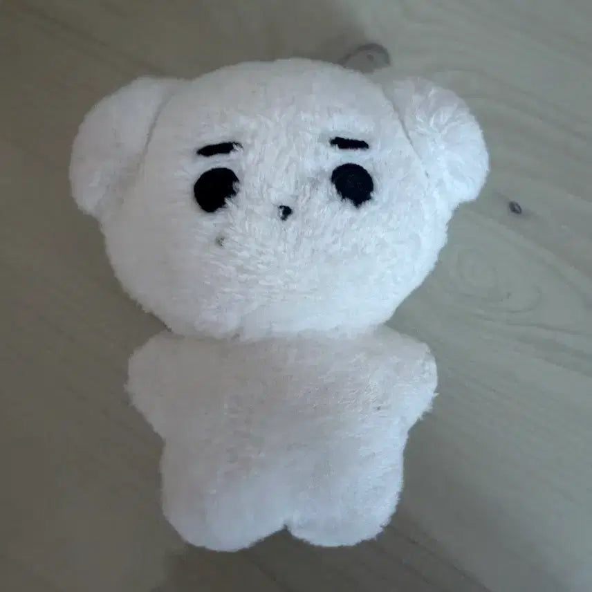 [BUNJANG] Enhypen Sunghoon [Stuffed Doll] / 훈댕이 성훈 인형 엔하이픈 양도