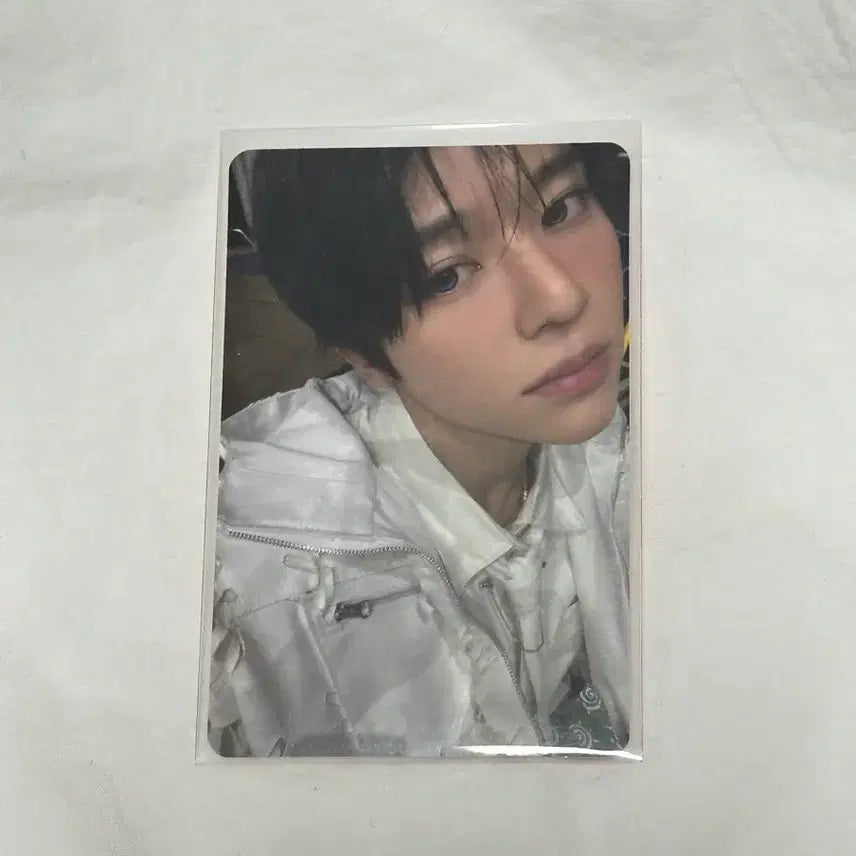 [BUNJANG] NCT WISH WISH CHENI CHENI Cushion Sion Photocard / 엔시티위시 위시니니 쿠션 시온 포카