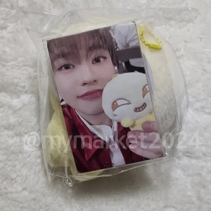 [BUNJANG] NCT Dream Chenle &