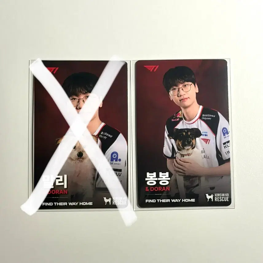 [BUNJANG] T1 Homeground Doran Photocard / T1 티원 홈그라운드 KK9R 도란 포카 양도