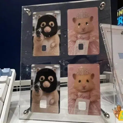 [BUNJANG] Jeongseo Buan Kim Hamzzi Pop-up Card Cover Sticker Set Queen Ver. / 정서불안김햄찌 팝업 카드 커버 스티커 세트 퀸ver.