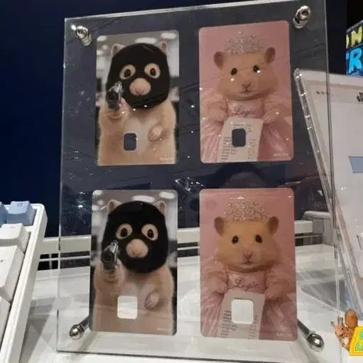 [BUNJANG] Jeongseo Buran Kim Hamzzi Popup Card Cover Sticker Set (Gangdo Ver.) / 정서불안김햄찌 팝업 카드 커버 스티커 세트 강도ver.