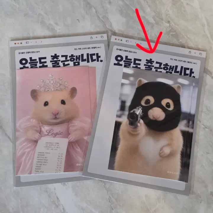 [BUNJANG] Jeongseo Buran Kim Hamzzi Popup Card Cover Sticker Set (Gangdo Ver.) / 정서불안김햄찌 팝업 카드 커버 스티커 세트 강도ver.
