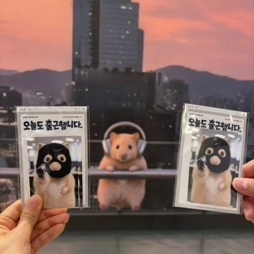 [BUNJANG] Jeongseo Buran Kim Hamzzi Popup Card Cover Sticker Set (Gangdo Ver.) / 정서불안김햄찌 팝업 카드 커버 스티커 세트 강도ver.