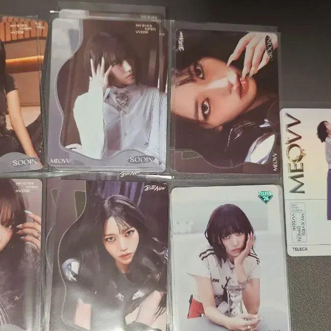 [BUNJANG] Tererika Miyao Animal 7 Types Bundle Set / 테레카 미야오 수인 7종 일괄 팝니다.
