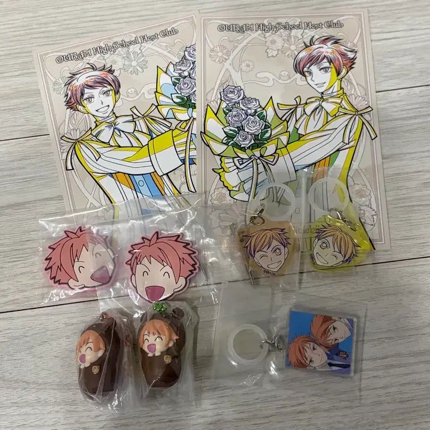 [BUNJANG] Ouran High School Host Club Hikaru &amp; Kaoru Gacha Set - Brooch &amp; Hairpin / 일괄 오란고교 호스트부 사교클럽 히카루 카오루 가챠 포대기 메지루시 헤어핀 세트