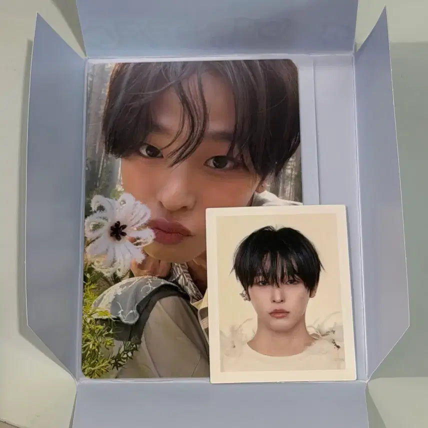 [BUNJANG] NCT WISH ONEWISH Eros Riku Photo Card Set / 엔시티위시 오드투러브 빅스미니 에로스 리쿠 증사 포카 세트 풀셋