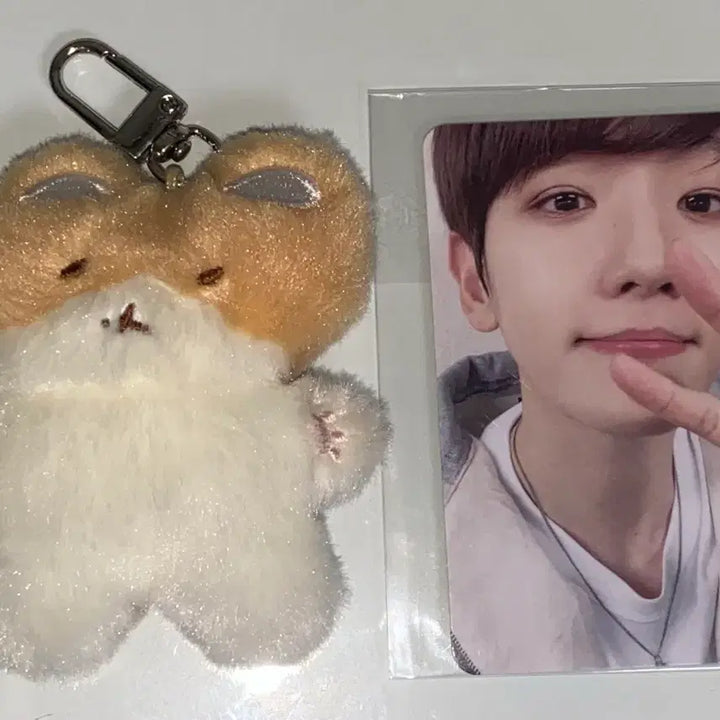 [BUNJANG] Baekhyun Towel Keyring Photocard Bundle Set / 백현 터래기 키링 포카 일괄