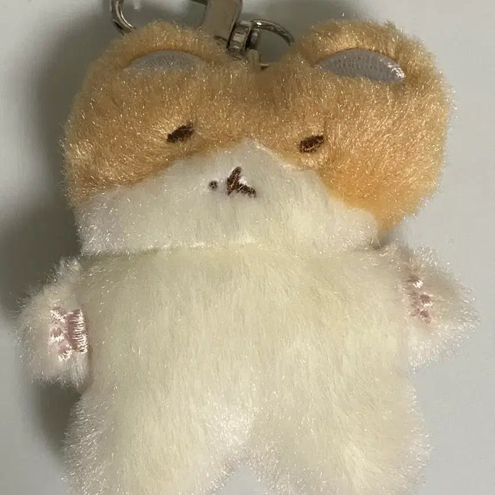 [BUNJANG] Baekhyun Towel Keyring Photocard Bundle Set / 백현 터래기 키링 포카 일괄