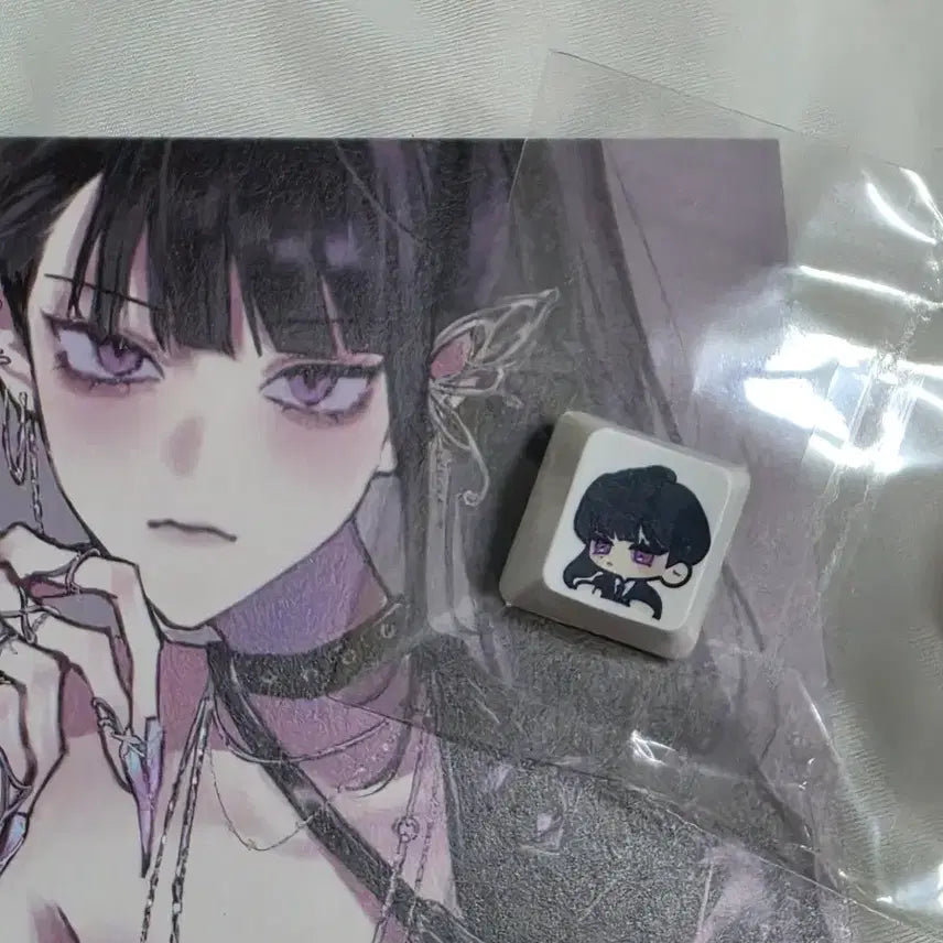 [BUNJANG] Gyaedamchulgeun Gyaedoljjik Jinnasol Keycap, Photocard, Postcard Bundle Set / [새상품] 괴담출근 괴출 괴담돌찍 진나솔 키캡, 포토카드, 엽서 일괄