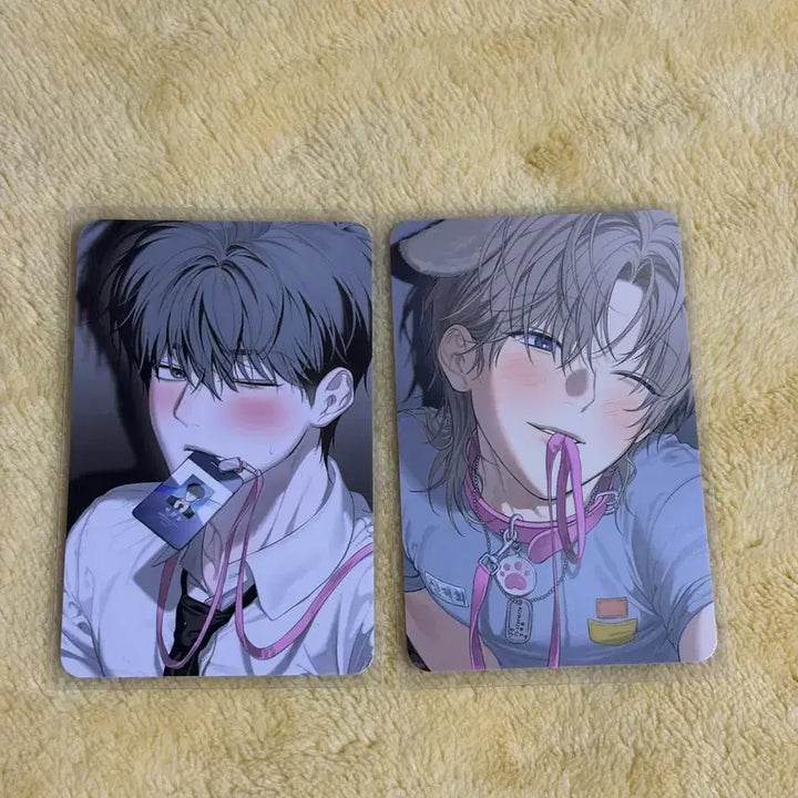 [BUNJANG] Bundle Set Special Edition / 일괄 사용 후 반품불가 사반불 5만 특전 세트 미블 팝업