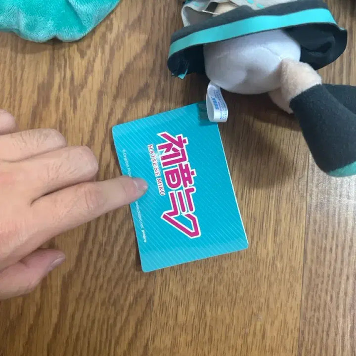 [BUNJANG] Hatsune Miku Plush Doll / 하츠네 미쿠 인형 솜인형 팔 인형
