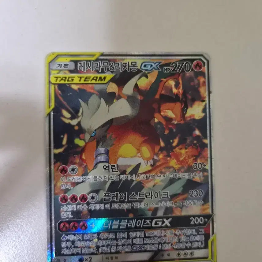 [BUNJANG] Pokemon Card Reshiram &amp; Charizard GX Special Illustration / 포켓몬카드 레시라무&amp;리자몽 gx 특일