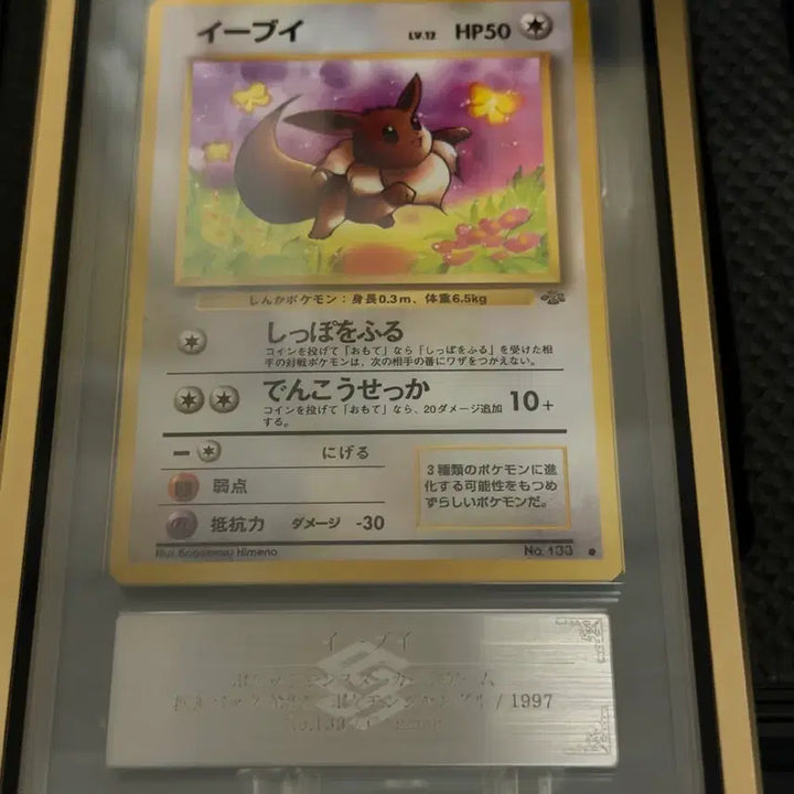 [BUNJANG] Pokemon Jungle Eevee PSA 10 (Old Back) / 포켓몬 카드 1997년 정글 이브이 ars10 (올드백)