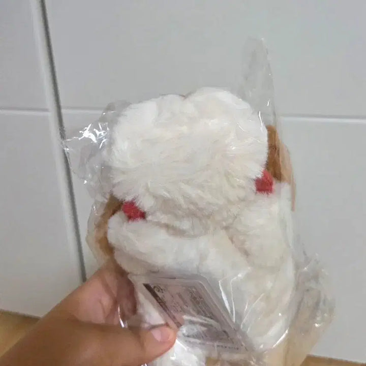 [BUNJANG] Studio Ghibli Howl&