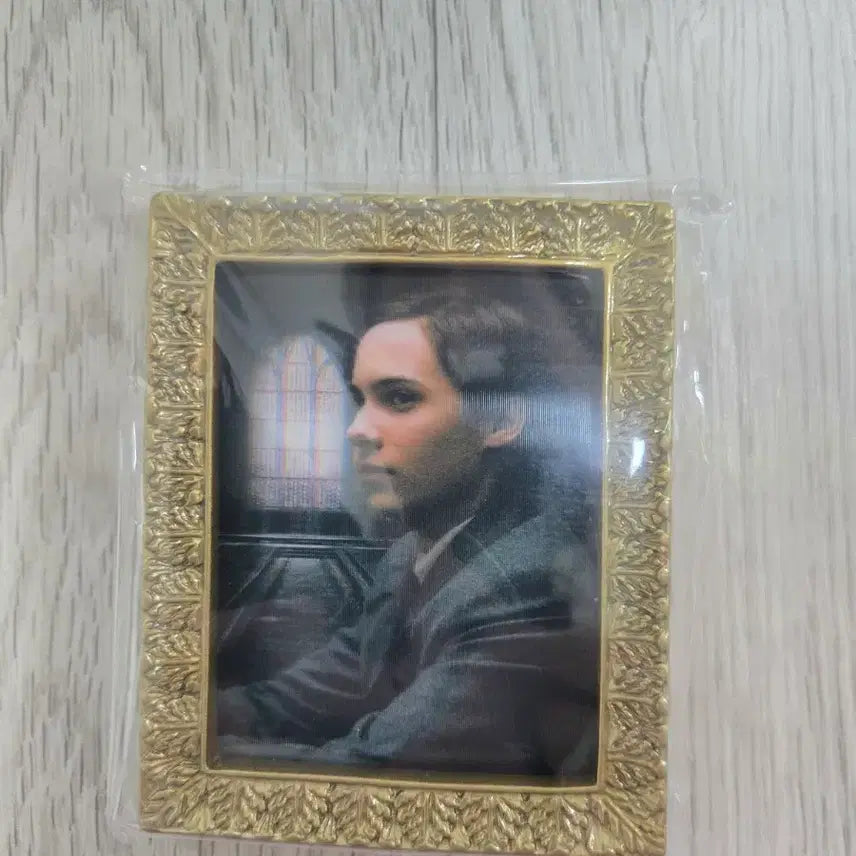 [BUNJANG] Harry Potter Tom Riddle Portrait Magnet / 톰리들 초상화 마그넷 양도합니다