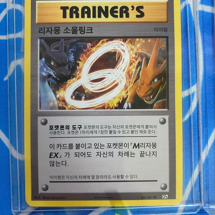 [BUNJANG] Pokemon Card Ancient Cards Charizard, Blastoise, Venusaur Soul Link Bundle Set / 포켓몬카드 고대카드 리자몽,거북왕,이상해꽃 소울링크 일괄