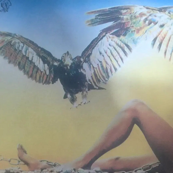 [BUNJANG] Free Creek LP / Free Creek LP