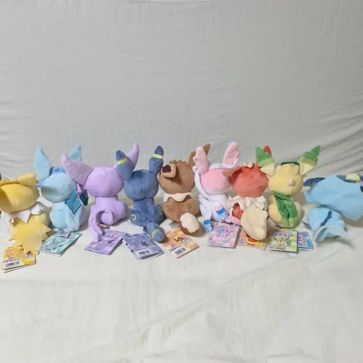 [BUNJANG] Pokemon Transform Ditto Eevees 9 Types Bundle Set / 새상품) 포켓몬 변신메타몽 이브이즈 9종 일괄가격