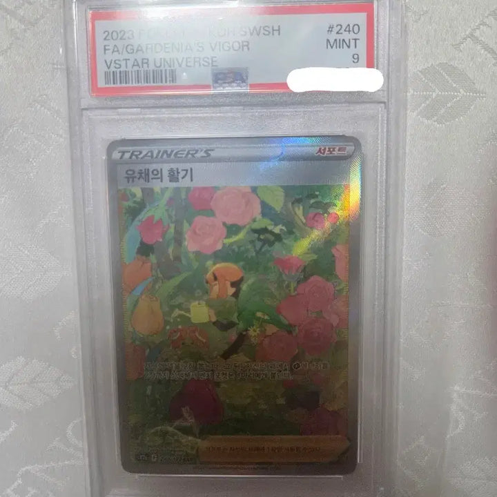 [BUNJANG] Pikachu Holo (Swirl) PSA 8 &amp; Charizard&