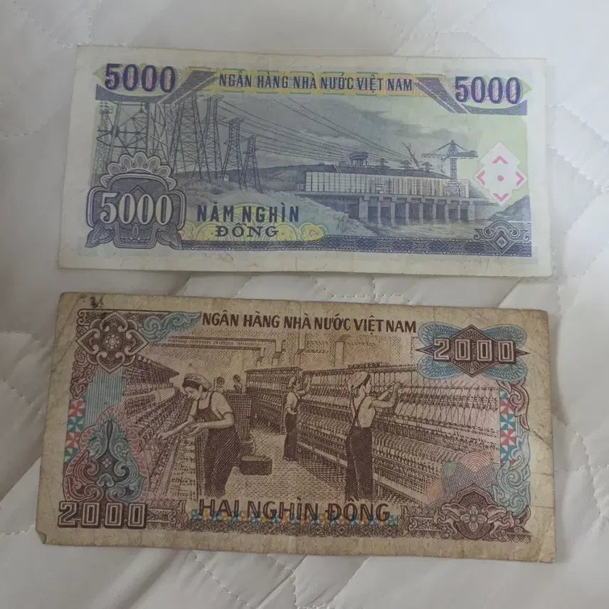 [BUNJANG] Vietnam 2,000 Dong and 5,000 Dong Banknotes / 베트남 2천동, 5천동 지폐