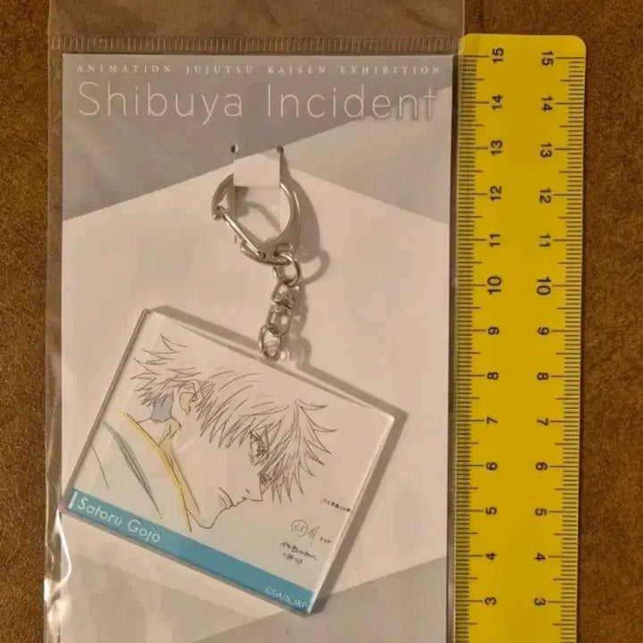 [BUNJANG] Jujutsu Kaisen Gojo Satoru Shibuya Incident Ver. Limited Exhibition Acrylic Keyring / 주술회전 일본전시회 한정 고죠 아크릴키링 시부야사변ver