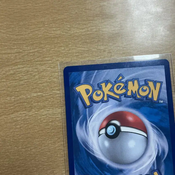 [BUNJANG] Mega Charizard Ex SAR Graded S-Class Condition / 메가리자몽ex sar상태s급(택포)