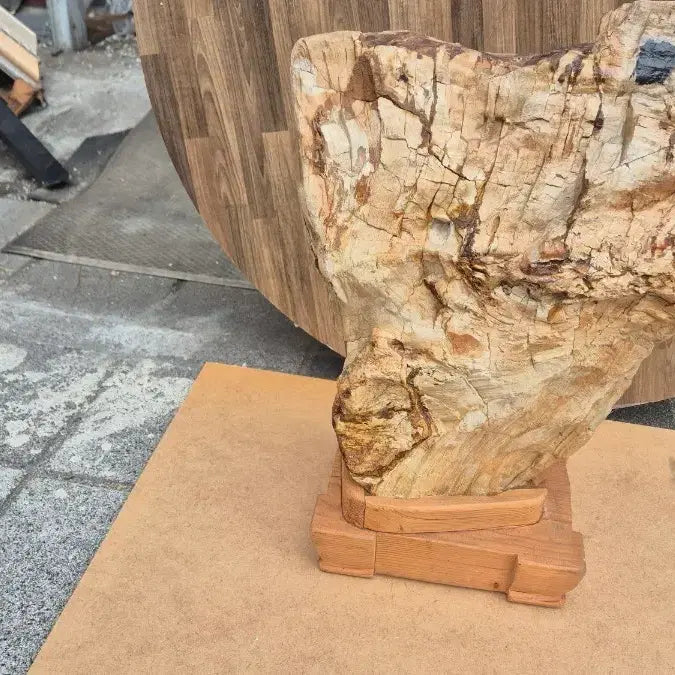 [BUNJANG] Unknown Wood Fossil Decor - 30x41x15 cm / 30   41  15 센치 나무화석 이름모름
